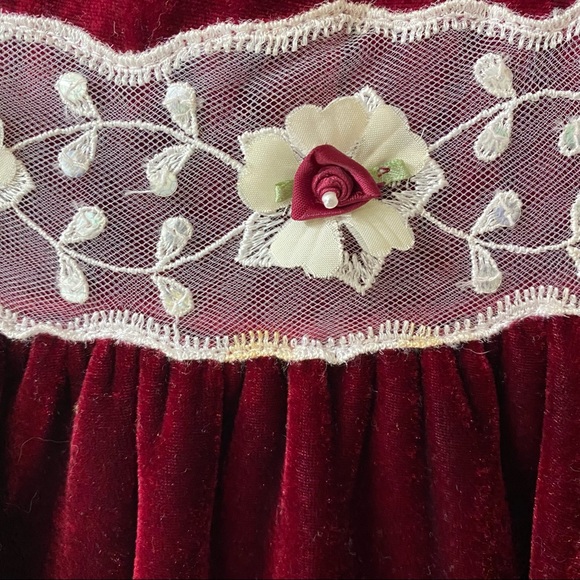 Red Velvet Dress With Rose Appliqués - Picture 2 of 6